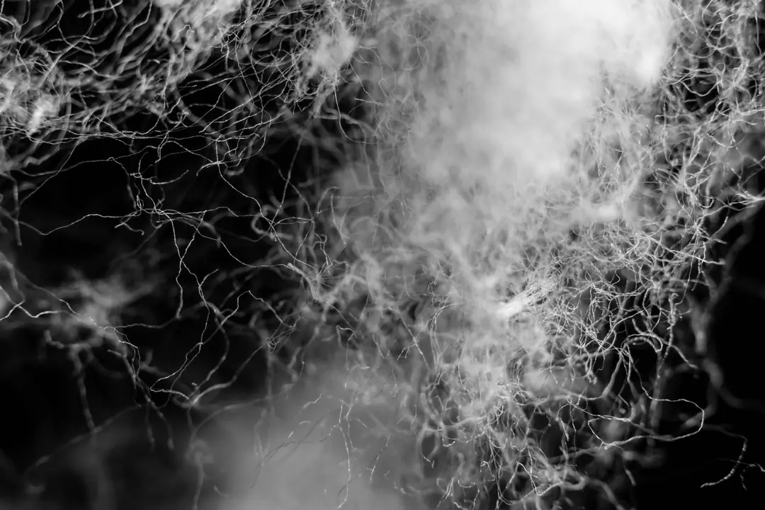 Macro photograph of cotton fibres